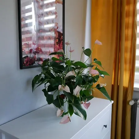 Pod Hutą *
