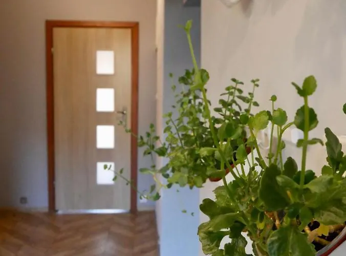 Apartmán Pod Huta Wegierska Gorka